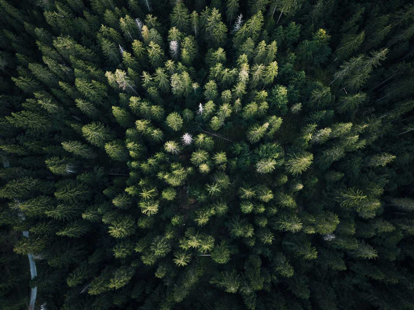 Regular image example